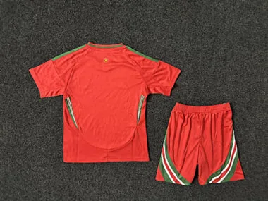 Immagine 2 dell’album 2024 Wales Home Kids Soccer Jerseys