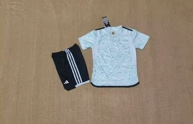 Imagen 2 del álbum Camisetas de fútbol infantiles de Gales para partidos fuera de casa 2024