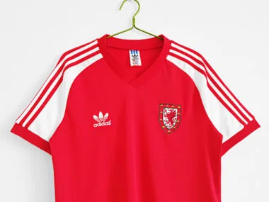 Immagine 3 dell’album 1982 Wales Home Retro Soccer Jerseys