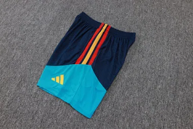 Afbeelding 3 van album 2026 Spain Player Version Shorts
