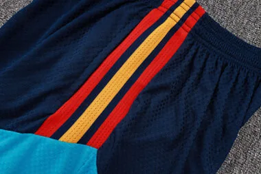 Afbeelding 4 van album 2026 Spain Player Version Shorts
