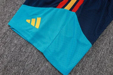 Afbeelding 5 van album 2026 Spain Player Version Shorts