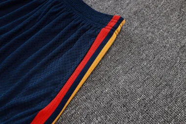 Afbeelding 8 van album 2026 Spain Player Version Shorts