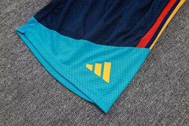 Afbeelding 10 van album 2026 Spain Player Version Shorts