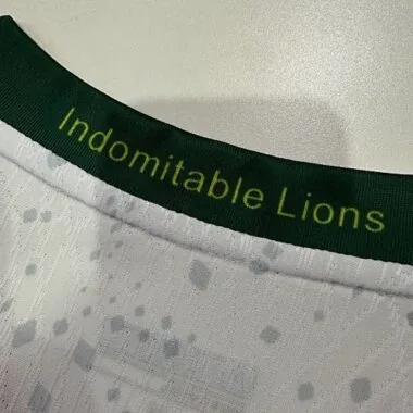 Imagem 2 do álbum 26-27 Cameroon Away Player Version Soccer Jerseys