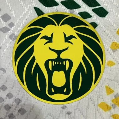 Imagem 5 do álbum 26-27 Cameroon Away Player Version Soccer Jerseys