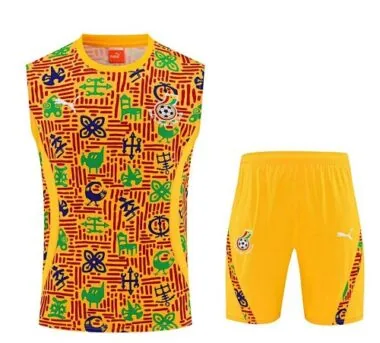 25-26 Ghana Training Soccer Suit