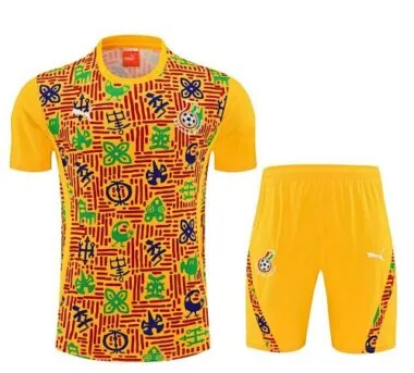 25-26 Ghana Training Soccer Suit album image 2