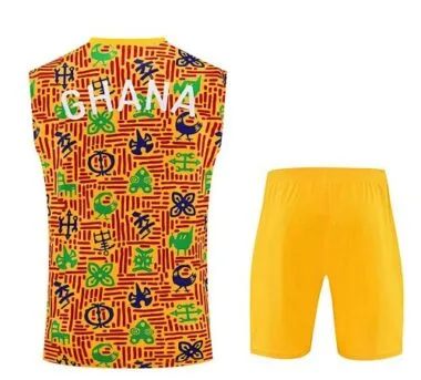 25-26 Ghana Training Soccer Suit album image 5