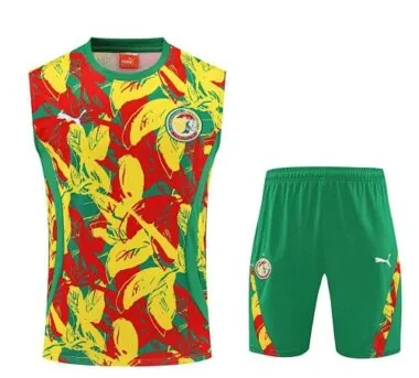 25-26 Senegal voetbaltrainingspak