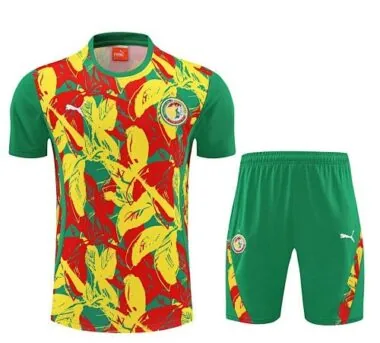 Afbeelding 2 van album 25-26 Senegal voetbaltrainingspak