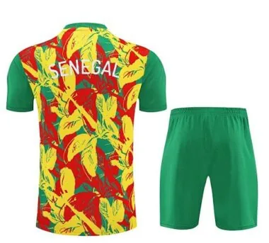 Afbeelding 3 van album 25-26 Senegal voetbaltrainingspak
