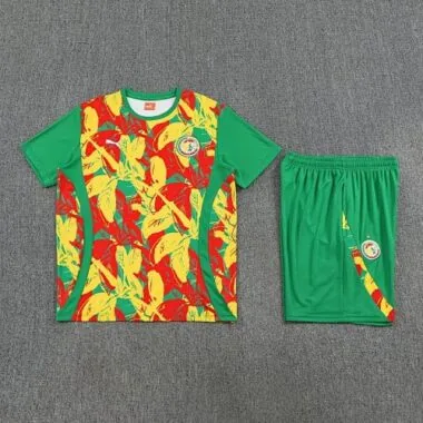 Afbeelding 4 van album 25-26 Senegal voetbaltrainingspak