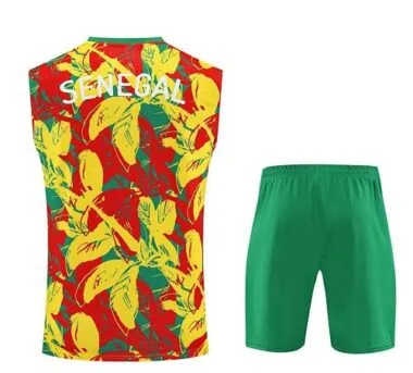 Afbeelding 5 van album 25-26 Senegal voetbaltrainingspak