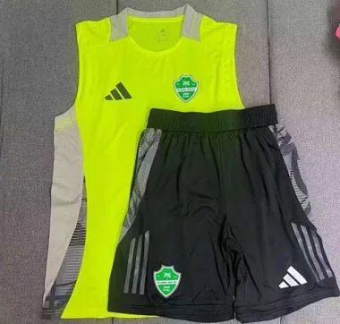 25-26 Saudi Arabia Soccer Jerseys