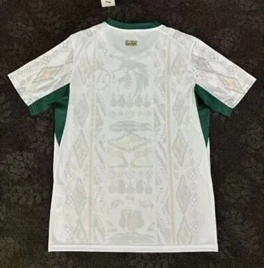 Afbeelding 2 van album 25-26 Senegal thuisvoetbalshirts