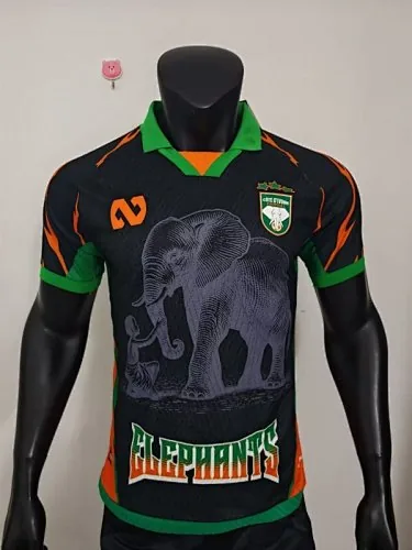 25-26 Voetbalshirts van Ivoorkust (spelersversie)