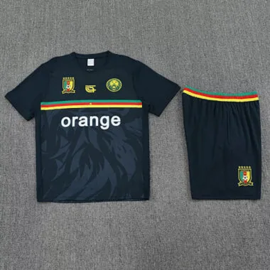 Imagem 3 do álbum 25-26 Cameroon Training Soccer Suit