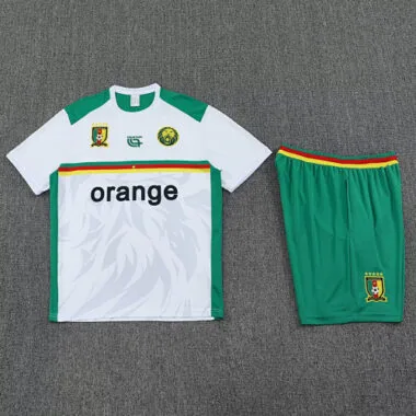 Imagem 3 do álbum 25-26 Cameroon Training Soccer Suit