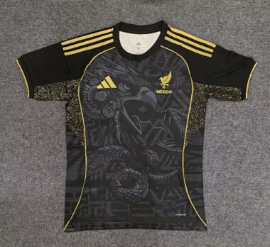 25-26 Mexico Special Soccer Jerseys
