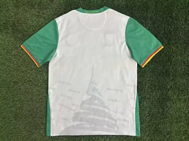 Imagem 2 do álbum 25-26 Cameroon Third Soccer Jerseys