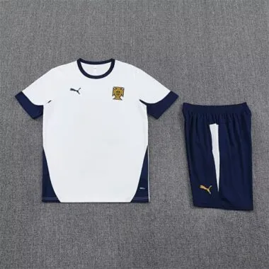 Afbeelding 5 van album 25-26 Portugal Training Soccer Suit