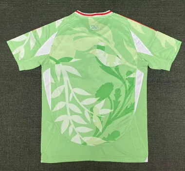 Imagem 2 do álbum 2025 Italy Away Soccer Jerseys