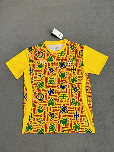 25-26 Ghana Training Soccer Jerseys