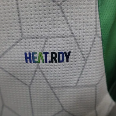 Afbeelding 4 van album 2024 Algerije: speciale spelersversie voetbalshirts