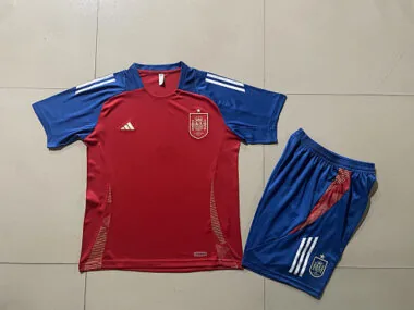 Afbeelding 2 van album 2024 Spain Training Soccer Jerseys