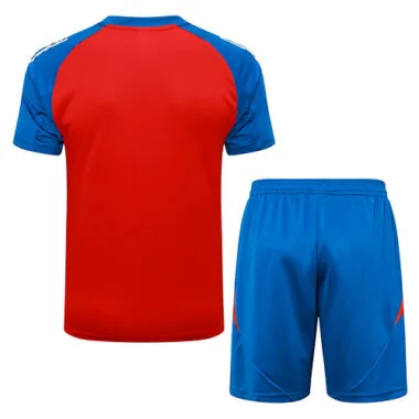 Afbeelding 3 van album 2024 Spain Training Soccer Jerseys