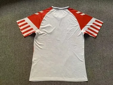 Image 2 de l’album 2023 Denmark Away Soccer Jerseys