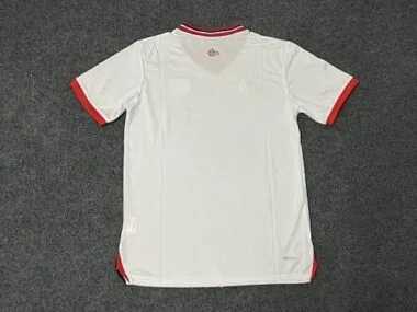 25-26 Lille Special Soccer Jerseys album image 2