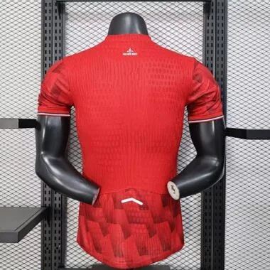 25-26 Lille Home Player Version Soccer Jerseys album image 2
