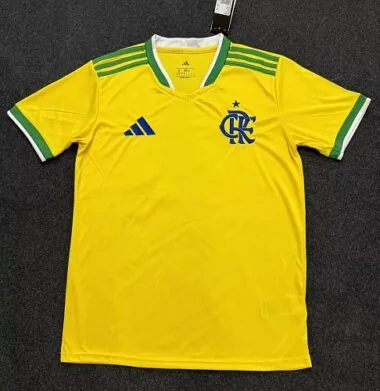 Maillots d'entraînement de football Flamengo 26-27