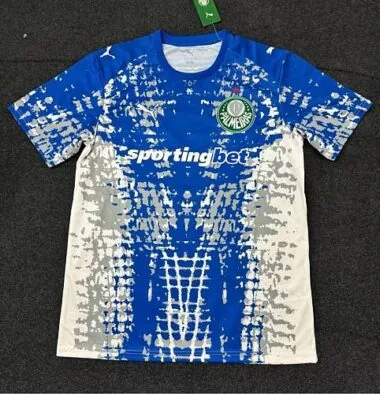 Maillots de football spéciaux Palmeiras 26-27