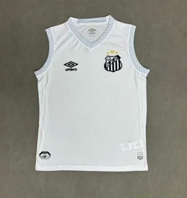25-26 Santos Home Training Soccer Vest