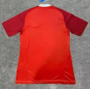 25-26 Flamengo Special Soccer Jerseys album image 2