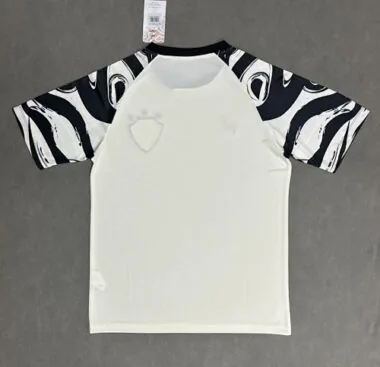 25-26 Paysandu Training Soccer Jerseys Albumbild 2