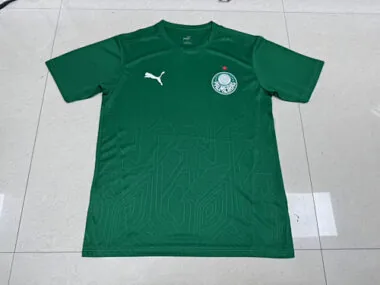Maillots d'entraînement de football Palmeiras 25-26