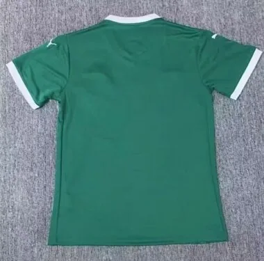 Image 2 de l’album Maillots de football domicile du Palmeiras 25-26