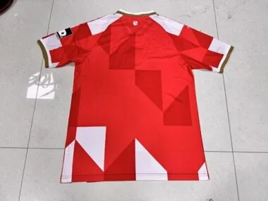 Immagine 2 dell’album 25-26 Maglie da calcio speciali del Mainz