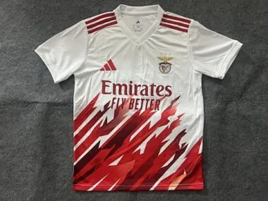 25-26 Benfica Training Soccer Jerseys
