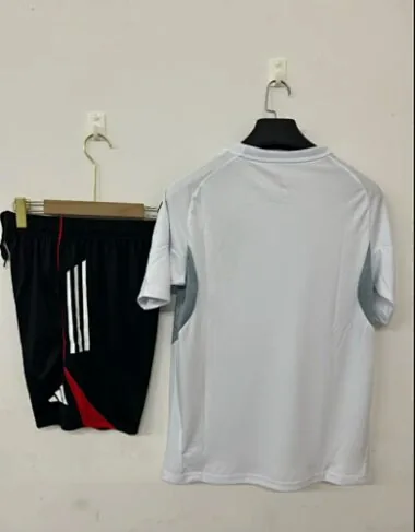 25-26 Benfica Training Soccer Suit album image 2