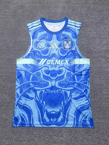 25-26 Tigres Away Soccer Jerseys