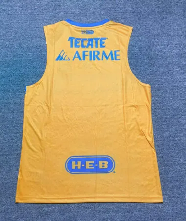 Afbeelding 2 van album 25-26 Tigres Home Soccer Jerseys