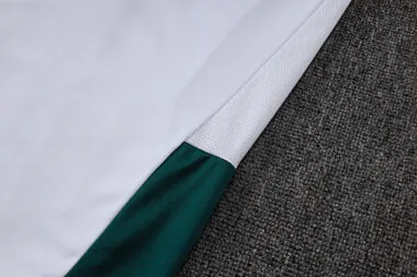 Imagen 10 del álbum 2026 Italy Training Soccer Suit