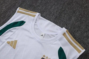 Imagem 3 do álbum 2026 Italy Training Soccer Vest