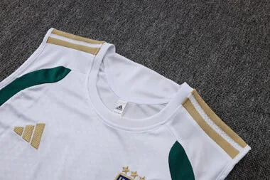 Imagem 4 do álbum 2026 Italy Training Soccer Vest