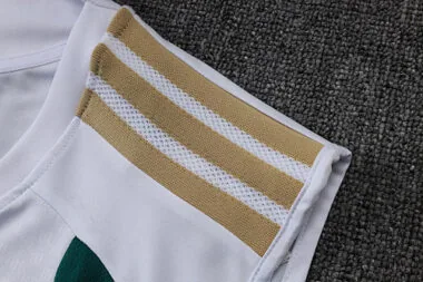 Imagem 5 do álbum 2026 Italy Training Soccer Vest